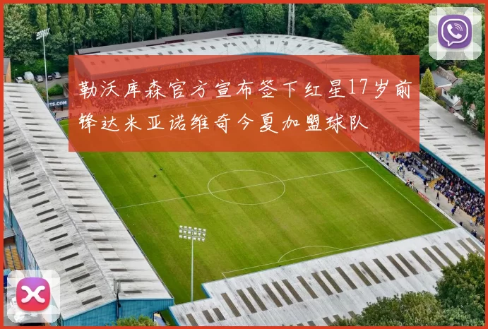 勒沃库森官方宣布签下红星17岁前锋达米亚诺维奇今夏加盟球队