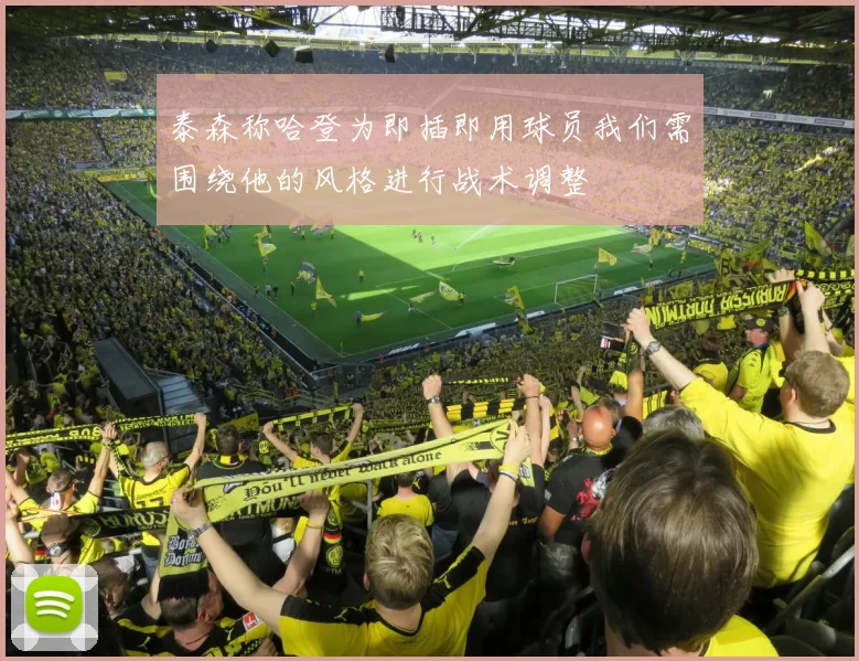 泰森称哈登为即插即用球员我们需围绕他的风格进行战术调整